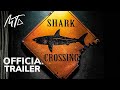 JurassicShark 2: Aquapocalypse (2021) — Official Trailer