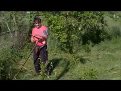 KOSCI... SIMO I SLAVIŠA