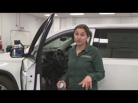 How to prevent your car door from freezing shut