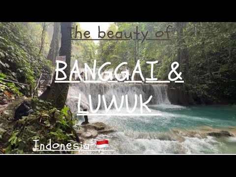 Banggai & Luwuk 🇮🇩 trip (June 2023)