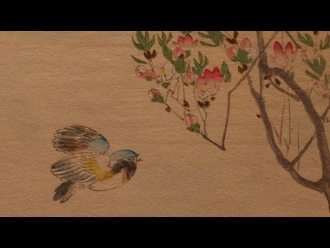 David's Choice - Episode #4 Supplement