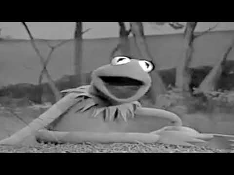 Not Easy Being White (Parody by Sean Saulsbury)