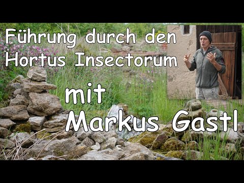 Hortus Insectorum | Führung mit Markus Gastl | Der drei Zonen Garten | Naturgarten | Insektengarten