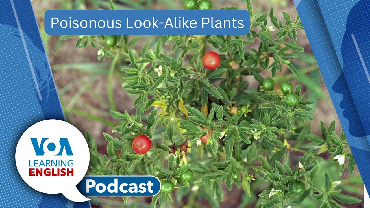 Space walkers return, Poisonous plants, Using “tons of”