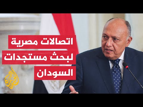 مصر والسعودية تؤكدان على بذل الجهود للحفاظ على استقرار السودان