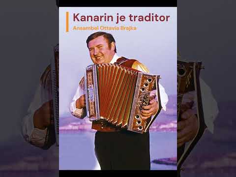 Kanarin je traditor - Ansambel Ottavia Brajka