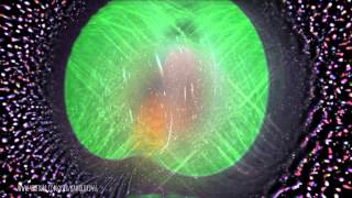 Ozric Tentacles - One Afternoon At The Mill