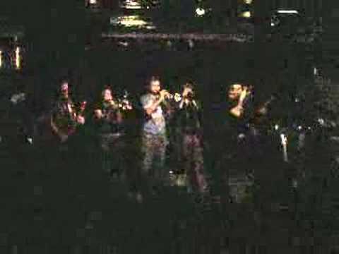 Bogus Gasman live 17th Dec '07 (3/3)