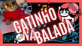 ? GATINHO NA BALADA ? Engraçado ? FoFo #Shorts