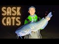 Video Thumbnail for Finding HUGE Saskatchewan Catfish & Carp