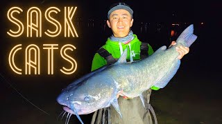 Finding HUGE Saskatchewan Catfish &amp; Carp