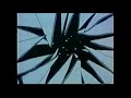 Sesame Street S Viacom Double Doom Zooms