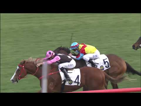 17/1/2021 (353) Beauty Applause -  J Moreira