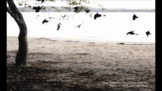 The Tallest Man On Earth - Little Brother (HQ)