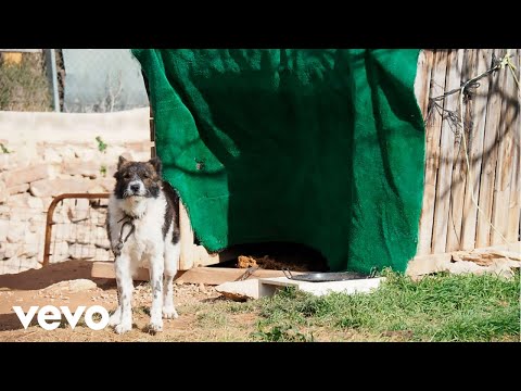 Videoclip de Lo Supe Todo — Manolo García