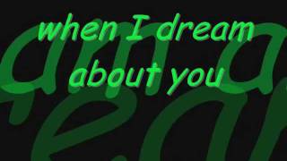 When I Dream About You w/ lyrics - Stevie B. (rock cover)