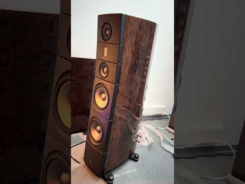 Raidho TD3.10 loudspeakers - 120.000 EUR #hifi #loudspeaker #loudspeakers #highendaudio #audiophile