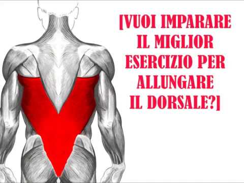Trattamento della malattia degenerativa del disco e osteofiti Trattamento della protrusione della colonna lombare sacrale