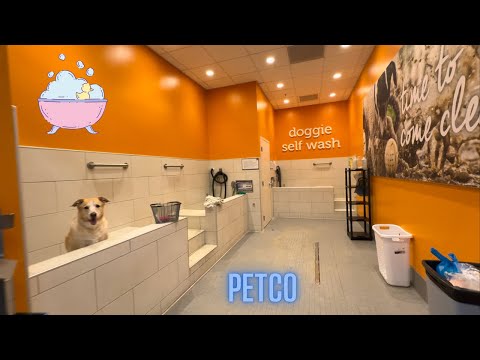 Petco Dog Bath Prices