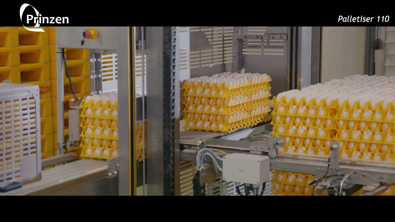 Automatyczny paletyzator jaj Palletiser 110 w pracy — film