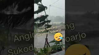 Download lagu Angin kencang||Sukodono Sidoarjo #beritaterbaru#shorts  #bencanaalam #viral #youtubepemula mp3