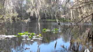 preview picture of video 'WITHLACOOCHEE RIVER HOMESITE'