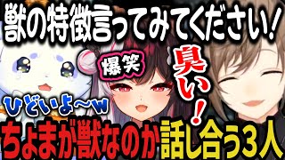 【まとめ】ちょまが獣なのか話し合う、叶の真似をするちょまに爆笑、最後はちょま虐ｗｗｗ【にじさんじ切り抜き/叶/ルンルン/夜見れな/にじグラブル団/グランブルーファンタジー】