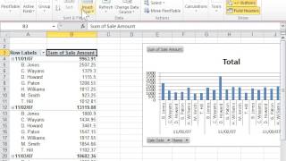 Rename a Field or Item in a PivotTable - Excel 2010
