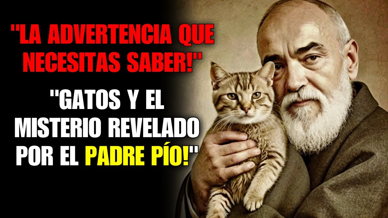 Padre Pío ADVERTÍA sobre los GATOS en casa – ¡Lo que dijo te sorprenderá!