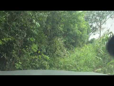 4x4 saliendo del barro, con sapucai incluido, Dos Arroyos, Misiones, Argentina.