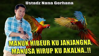 Download lagu MANUK HIBEUR KU JANJANGNA,MANUSA HIRUP KU AKALNA !! mp3 Download lagu MANUK HIBEUR KU JANJANGNA,MANUSA HIRUP KU AKALNA !! mp3