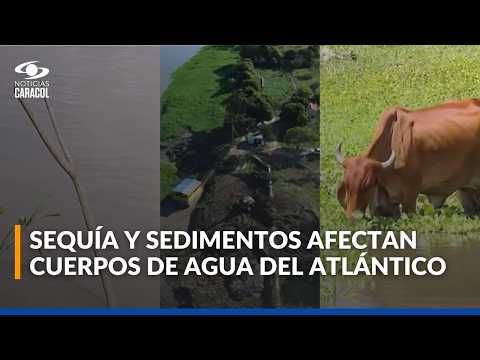 Río Magdalena baja su nivel en el Atlántico y afecta ciénagas, pesca y captación de agua
