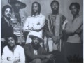 Mandrill (Extended) House of Wood