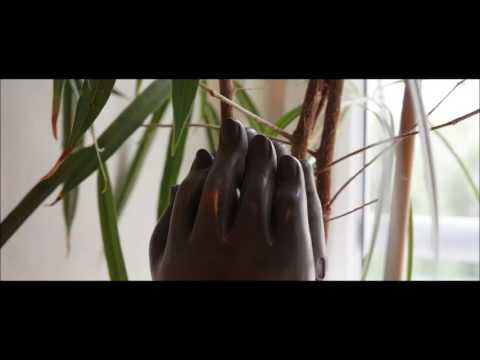 Heart Sutra - Polish