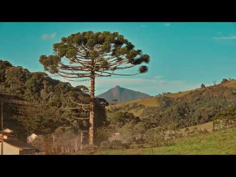 Córrego do Bom Jesus em 4K