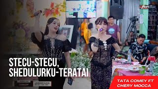 Download lagu STECU-STECU, SHEDULURKU LANJUT TERATAI,TATA COMEY FT CHERY MOCA,CS CAMASUTRA MUSIK KERASS mp3 Download lagu STECU-STECU, SHEDULURKU LANJUT TERATAI,TATA COMEY FT CHERY MOCA,CS CAMASUTRA MUSIK KERASS mp3