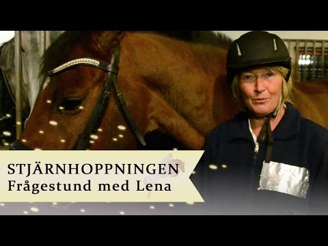 Frågestund med hästtränaren Lena Bredberg