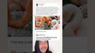 Denver zoo, love comes in all shapes, sizes and colors—even bright pink!