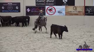 Dragonn Fly PCCHA Reyzin The Cash Derby