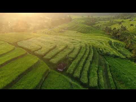 another green Nature