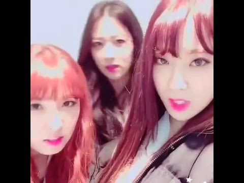 150211 나인뮤지스