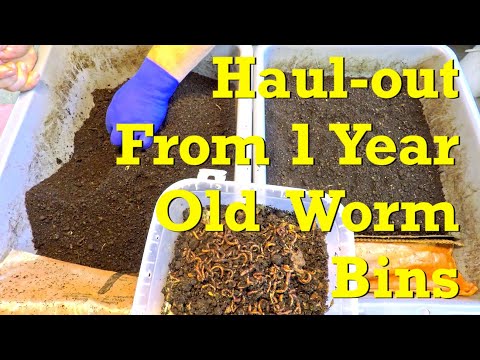 Systems launched with ANC worms from two 20-day migration feeding zones - vermicompost