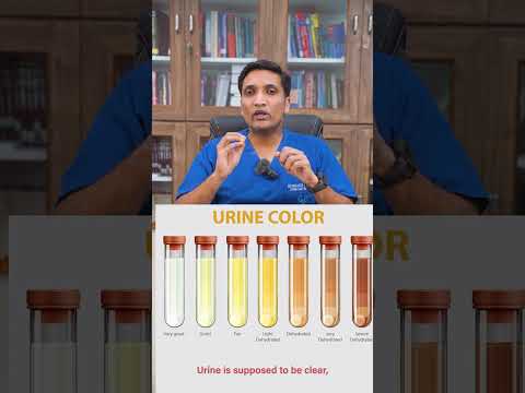 Did you know that kidney disease can be silent and symptom-free in its early stages?