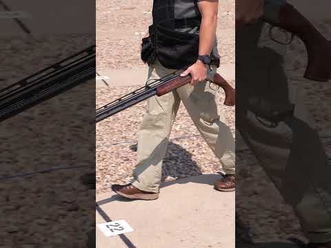 Ergonomics of Browning Cynergy