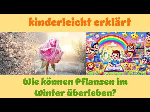 Wie Überleben Pflanzen Im Winter? Kinderleicht Erklärt! #erklärung #kinder #pflanzen