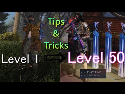 Ultimate Tips and Tricks From a 1000‑Hour Veteran - Beginner and Advanced Guide