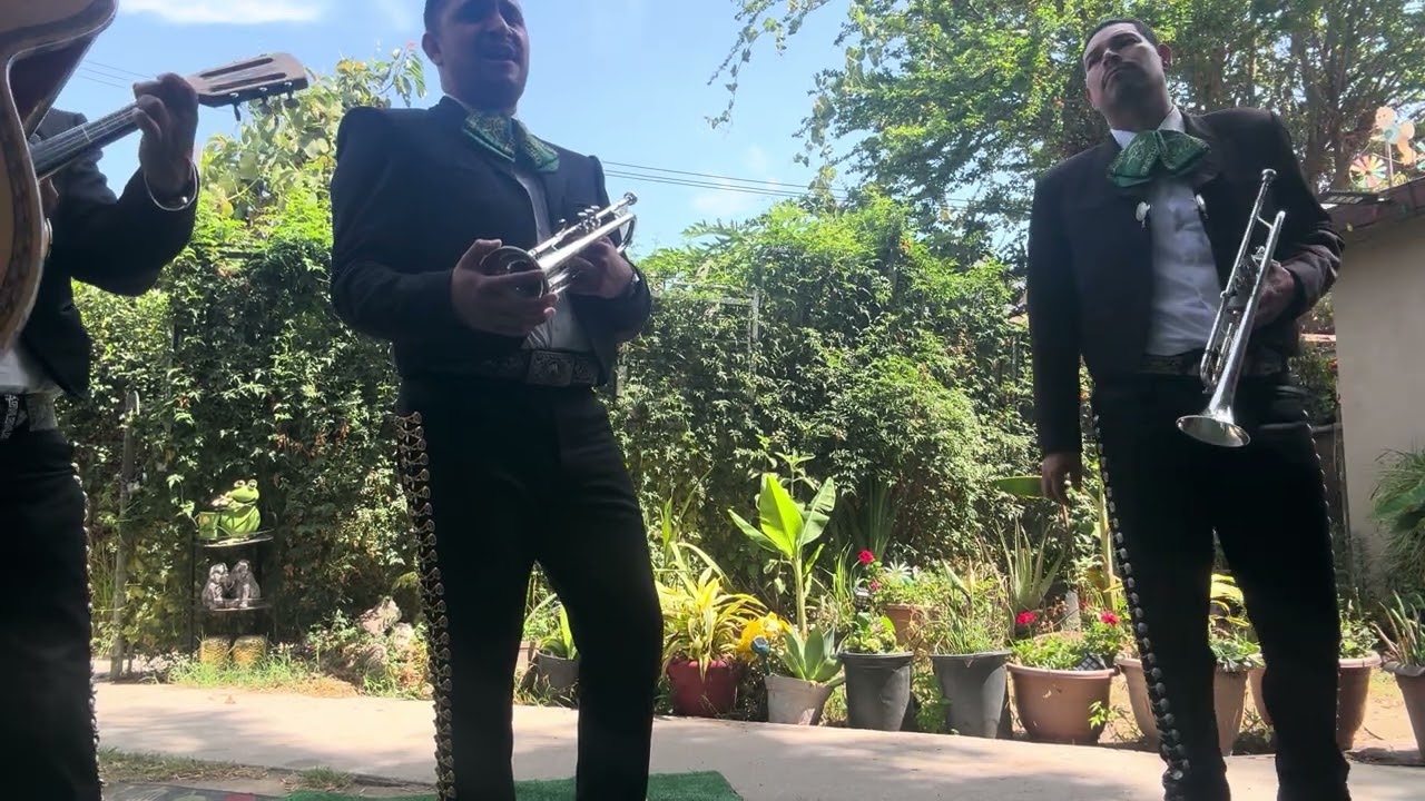 Promotional video thumbnail 2 for Mariachi Juvenil Atotonilco