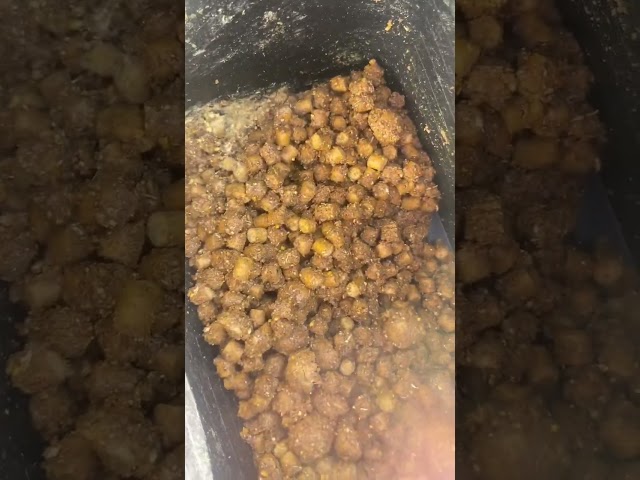 Vídeo relacionado con Fluor Two Tone Pop Ups Boilies 14/20mm Pro Elite Baits | Cebos Pesca Carpa | Artificial Baits Carp (14-20mm, Squid Octopus)