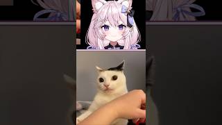 Best cat videos, but with Oblivion music