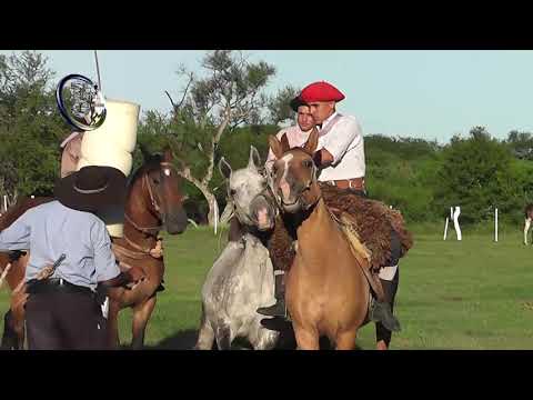 Casablanca Carruego Ombú 2026 - Categ. Cuero Tendido - Otg. Alcides Ríos - 3 de Enero 2026